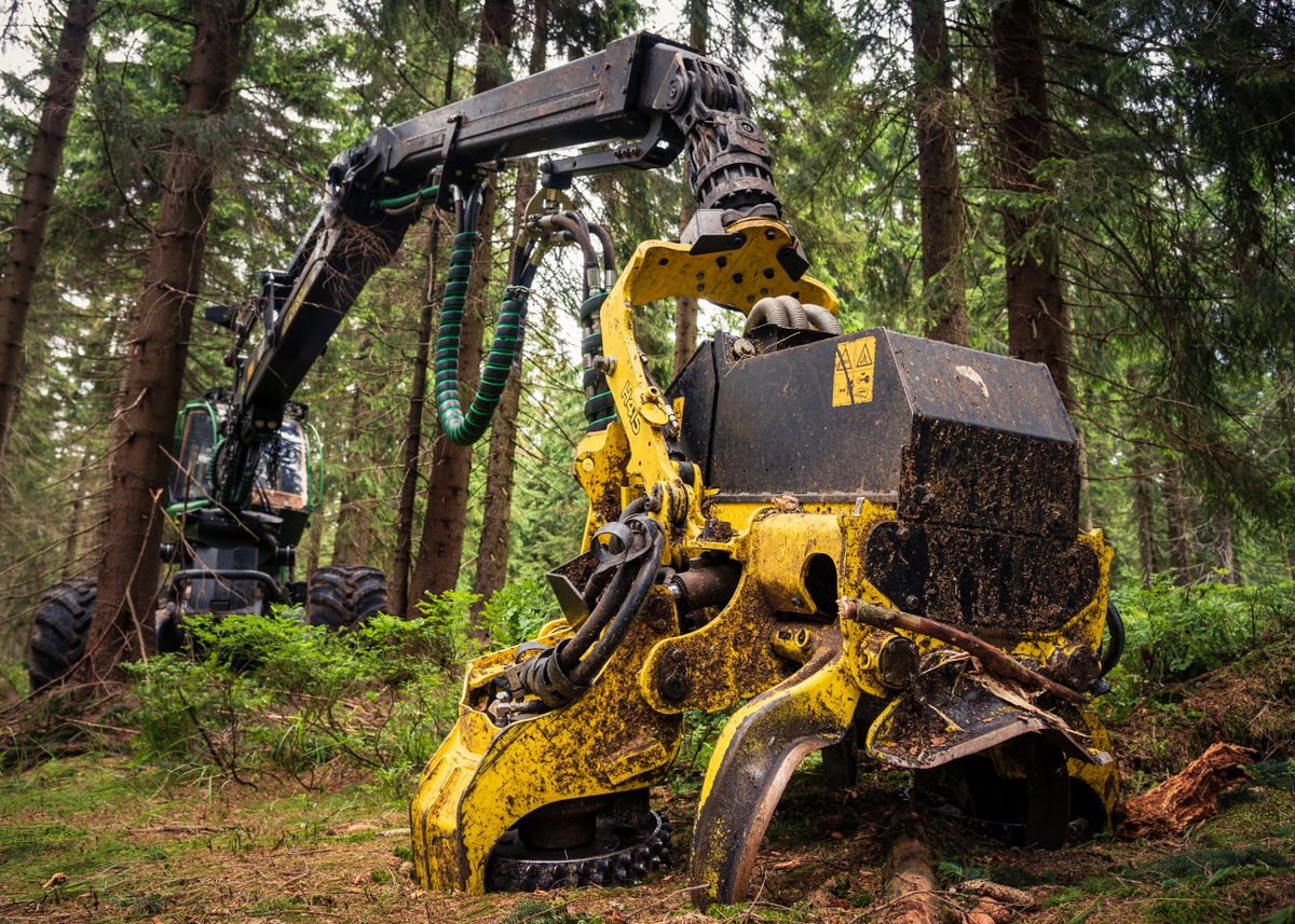 Forestry mulcher at work