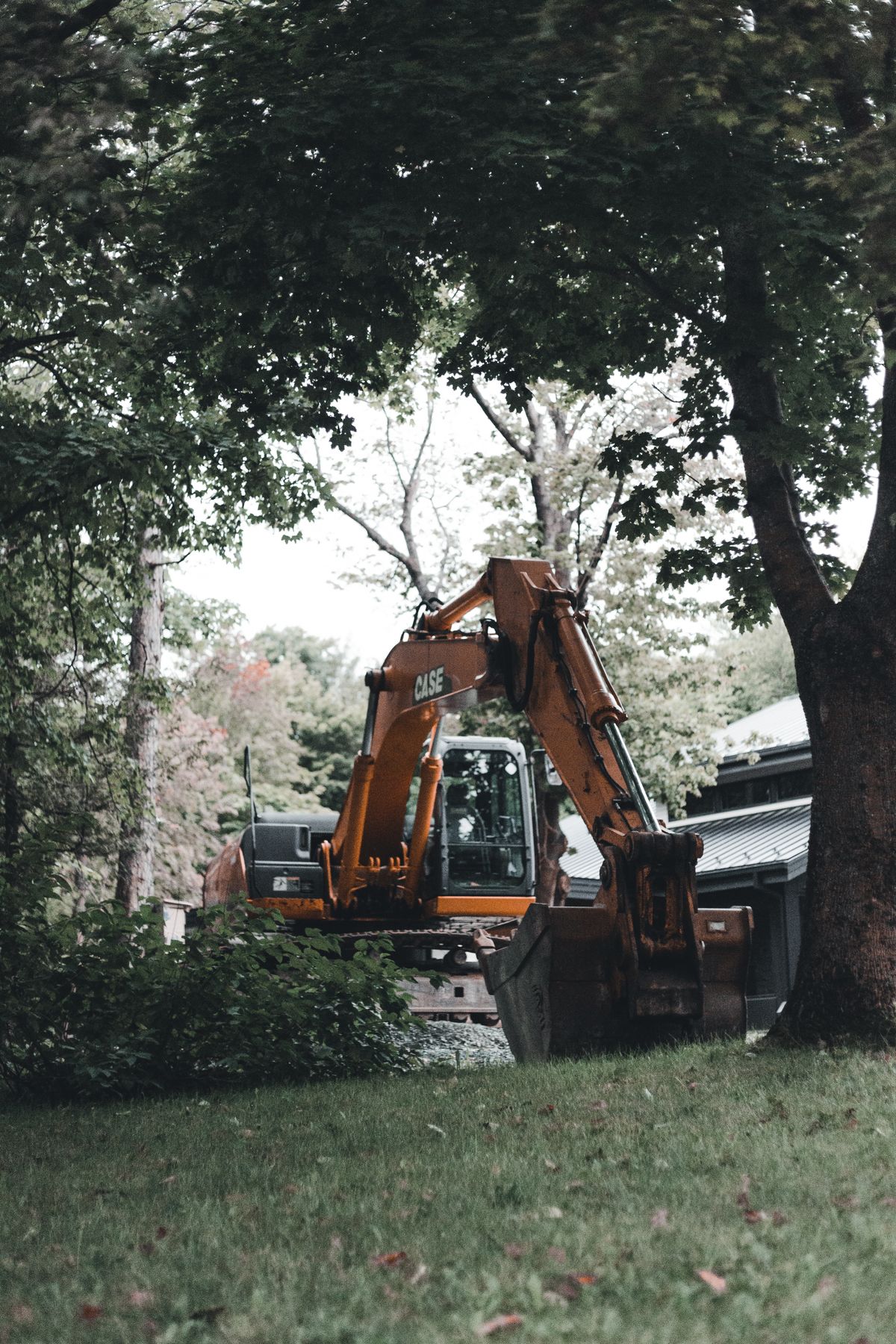 Excavator clearing land among pines