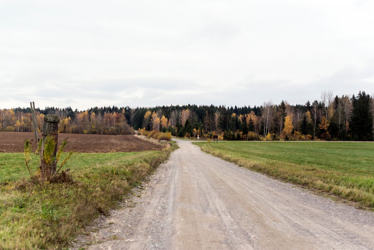 Country access road